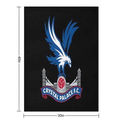 2013 Logo Throw Blanket