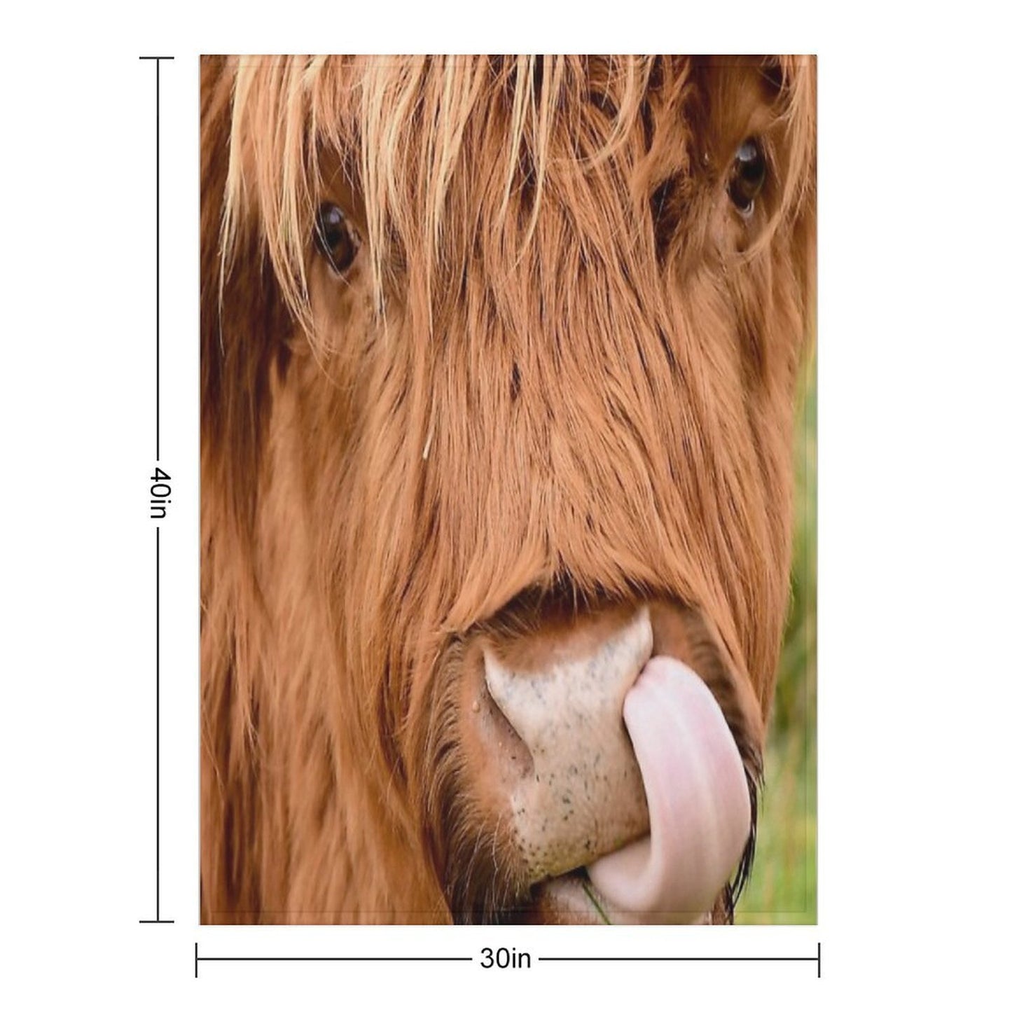 Tasty, The Highland Cow Throw Blanket