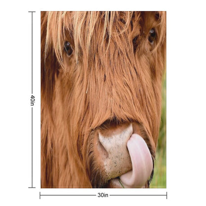 Tasty, The Highland Cow Throw Blanket