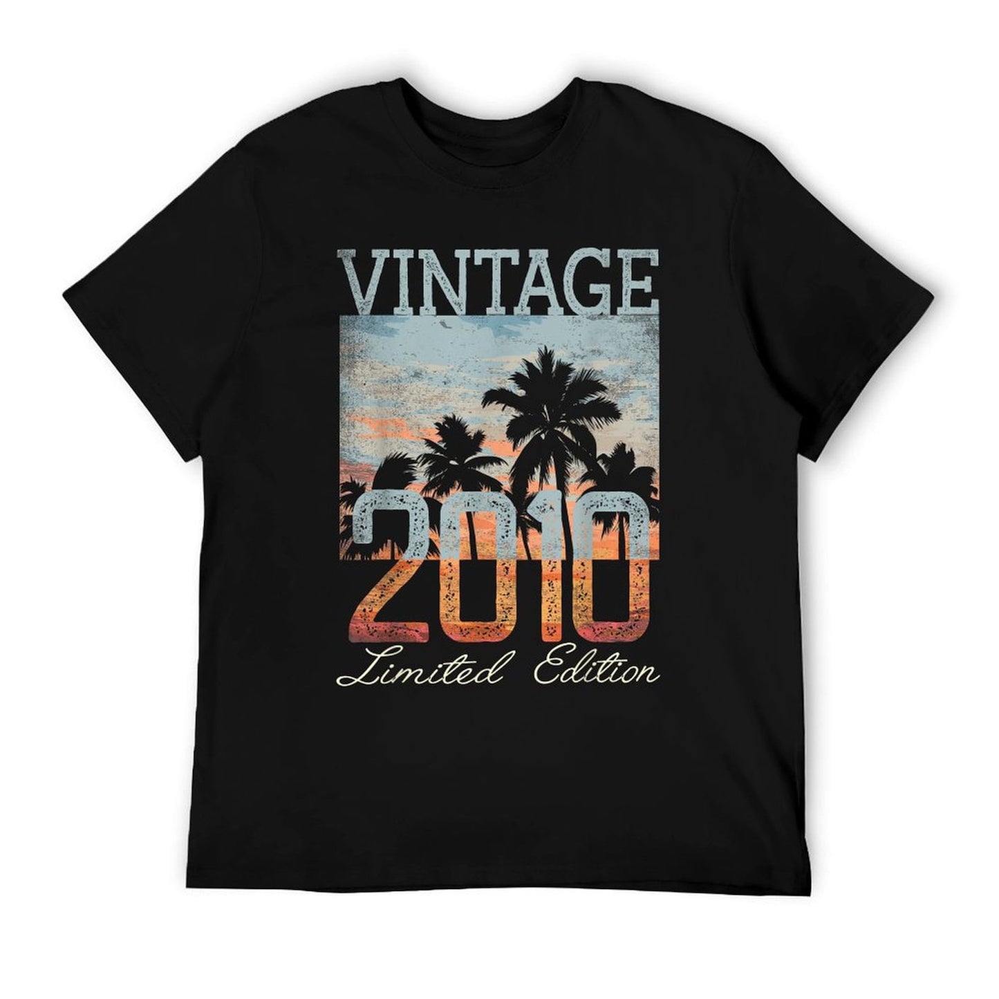 Vintage 2010 Limited Edition 15th Birthday 15 Year Old Gifts T-Shirt