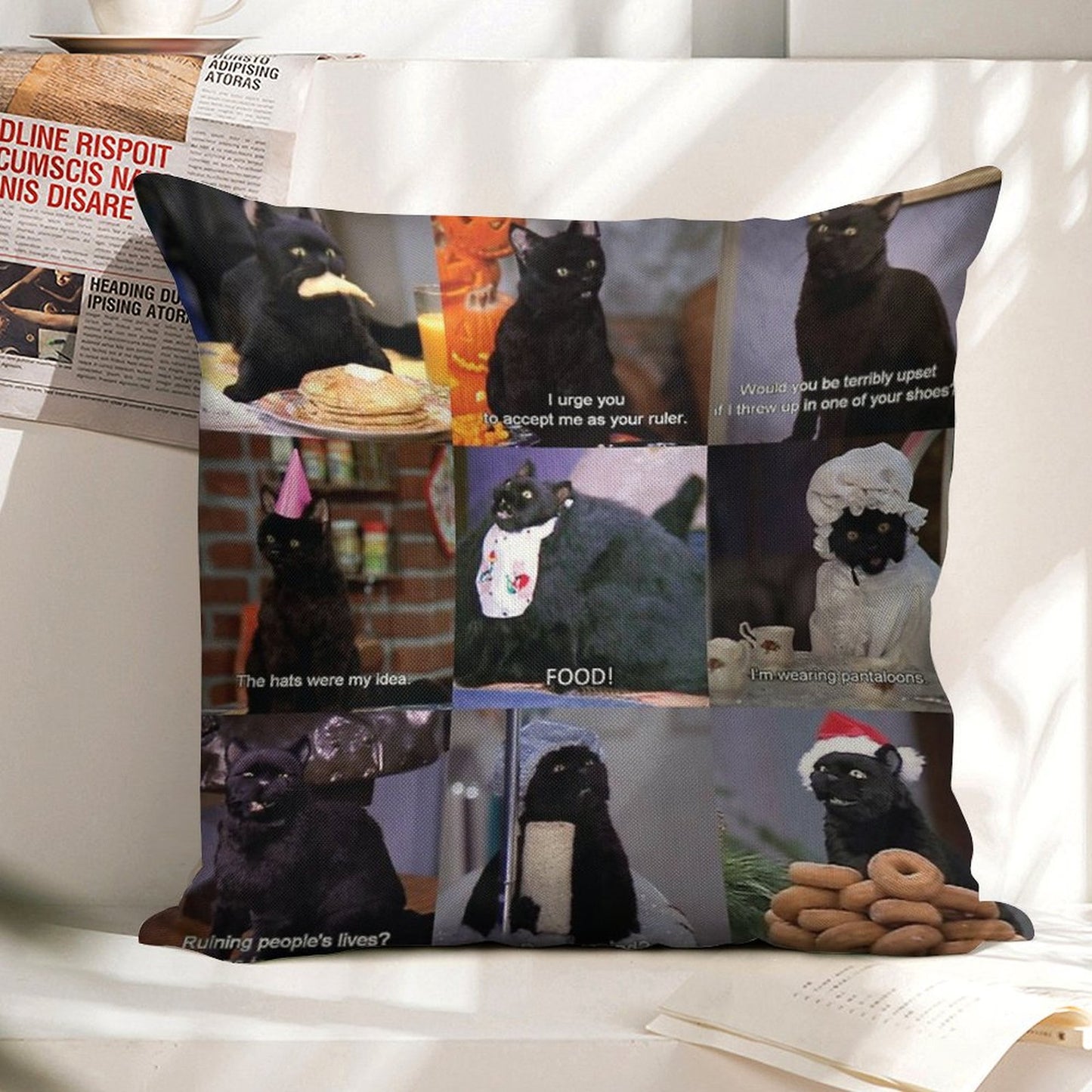 Musings of Salem Linen Throw Pillow Cover