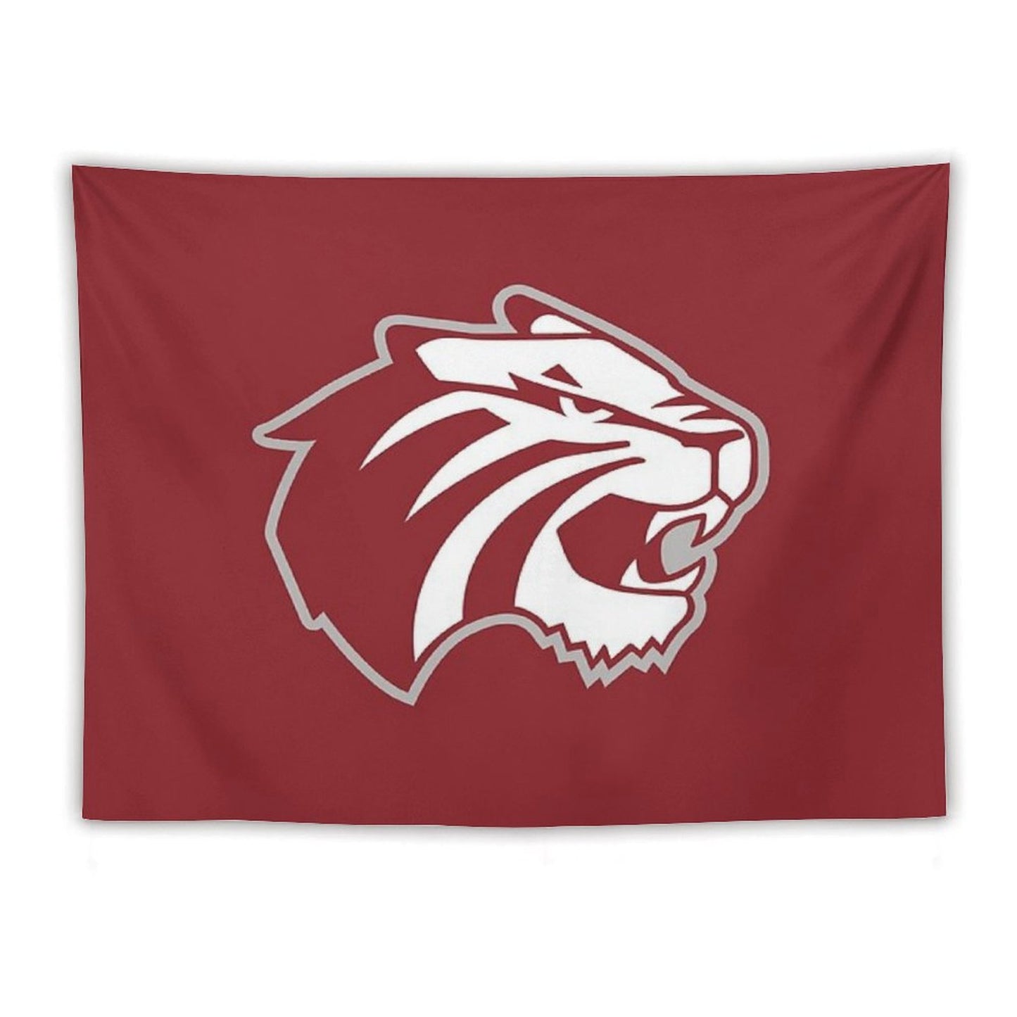 Trinity University Tapestry