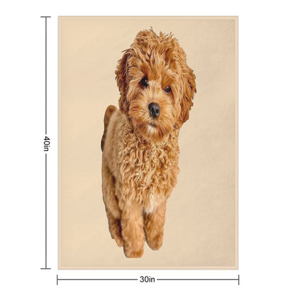 Cavapoo Throw Blanket