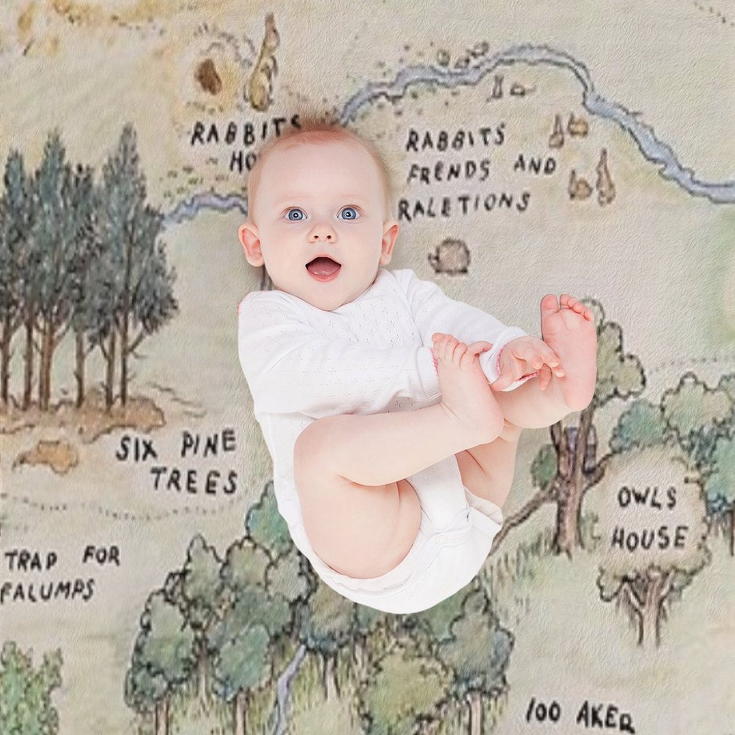 Hundred Acre Wood Map Throw Blanket
