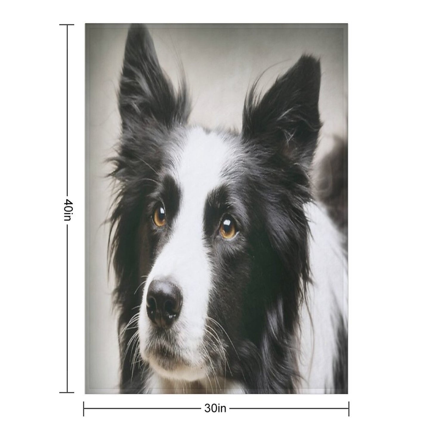 Working Border Collie Throw Blanket