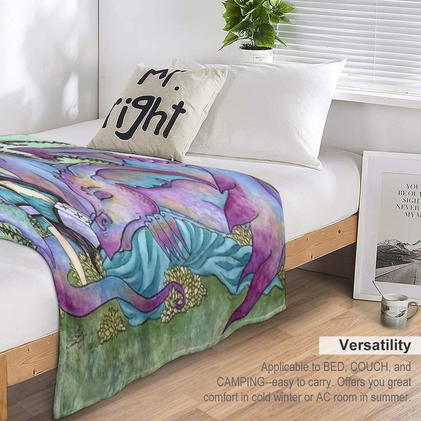 Let Sleeping Dragons Lie Throw Blanket