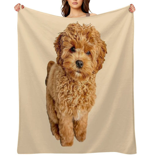 Cavapoo Throw Blanket