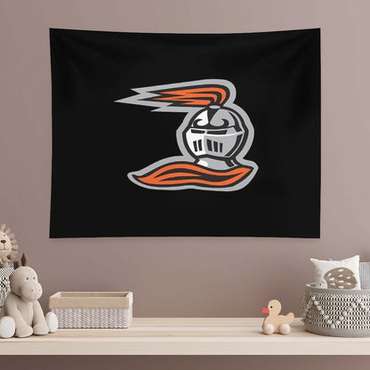 Heidelberg Princes Tapestry