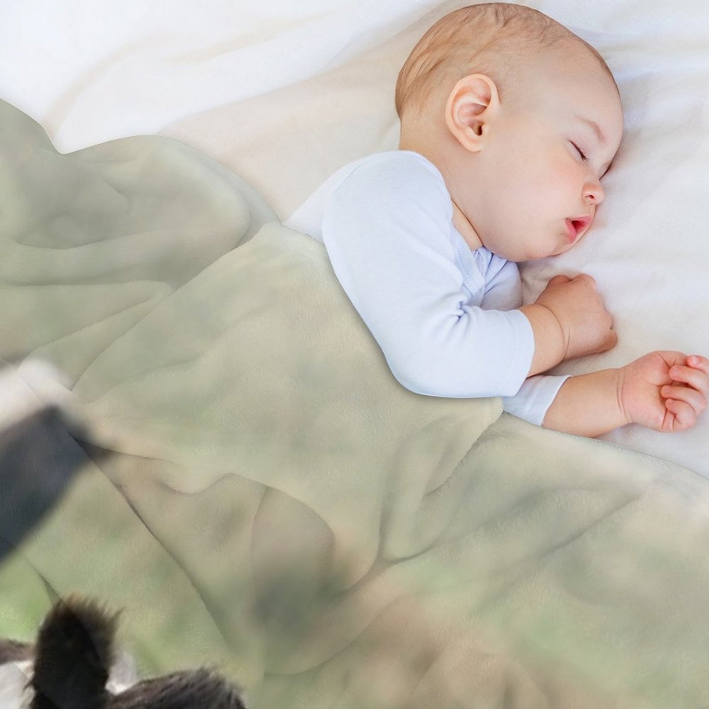 Belted Galloway Cows Throw Blanket