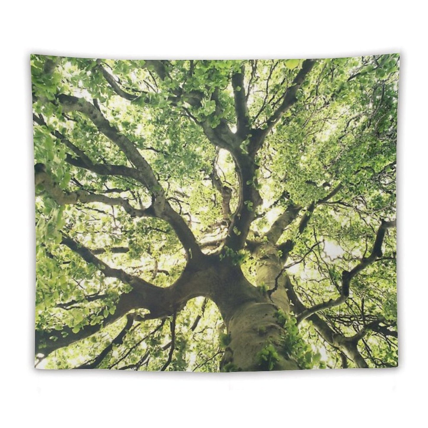 Under Your Skin  Under Your Skin  Summer Breeze In A Wilderness Fairytale Forest With A Tree Covered In Magic Sunlight Tapestry