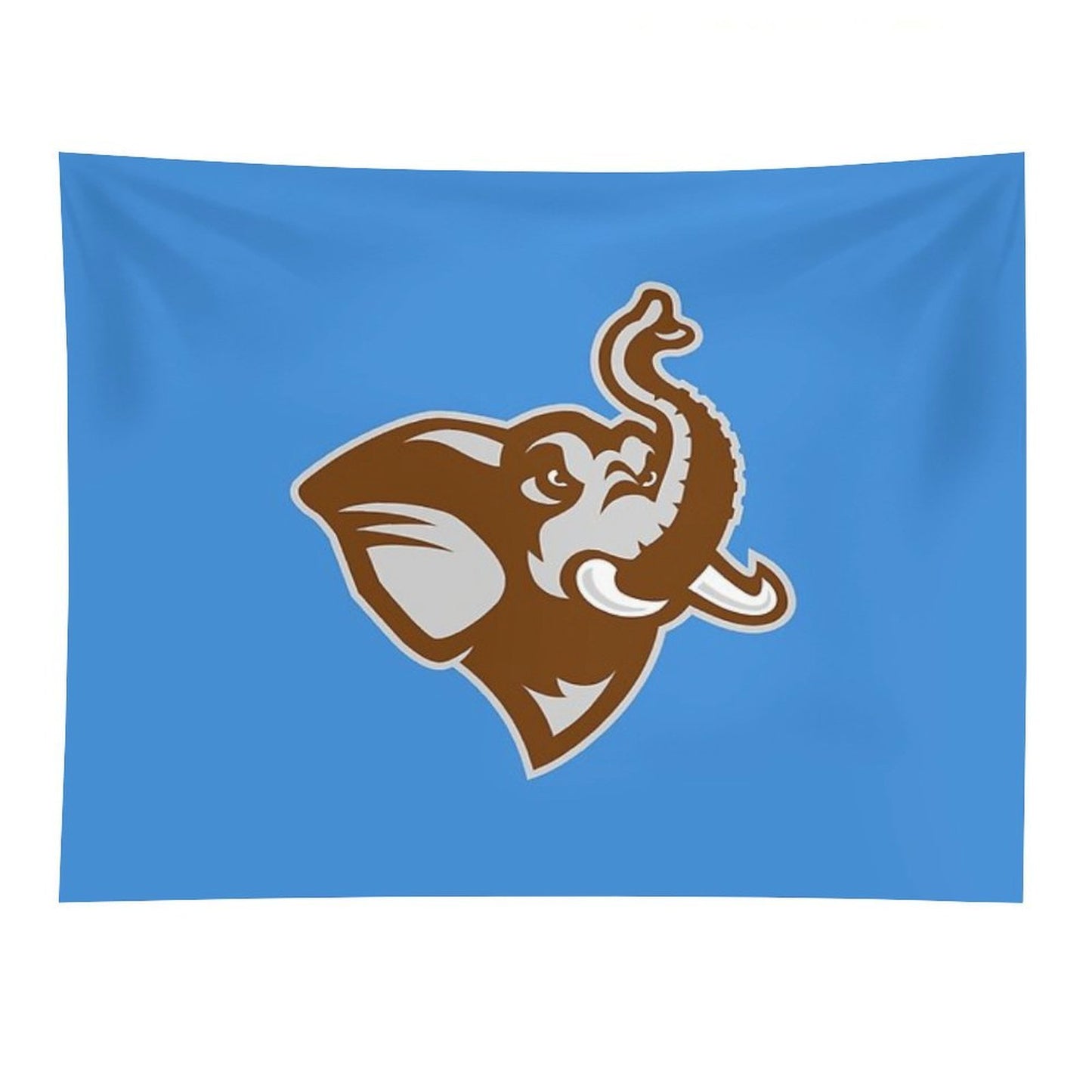 Tufts University Tapestry