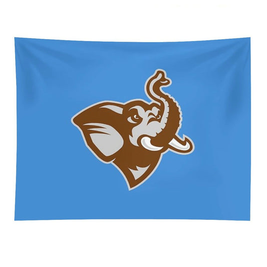 Tufts University Tapestry