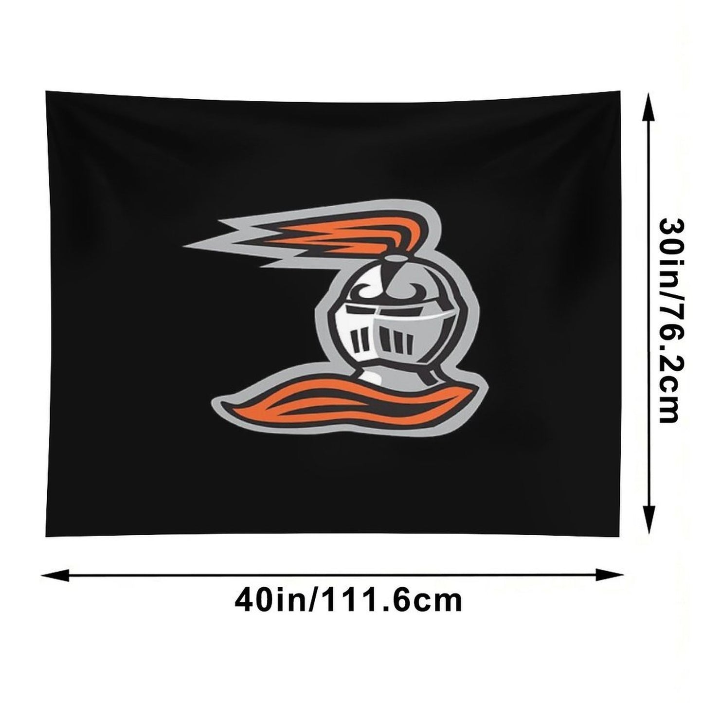 Heidelberg Princes Tapestry