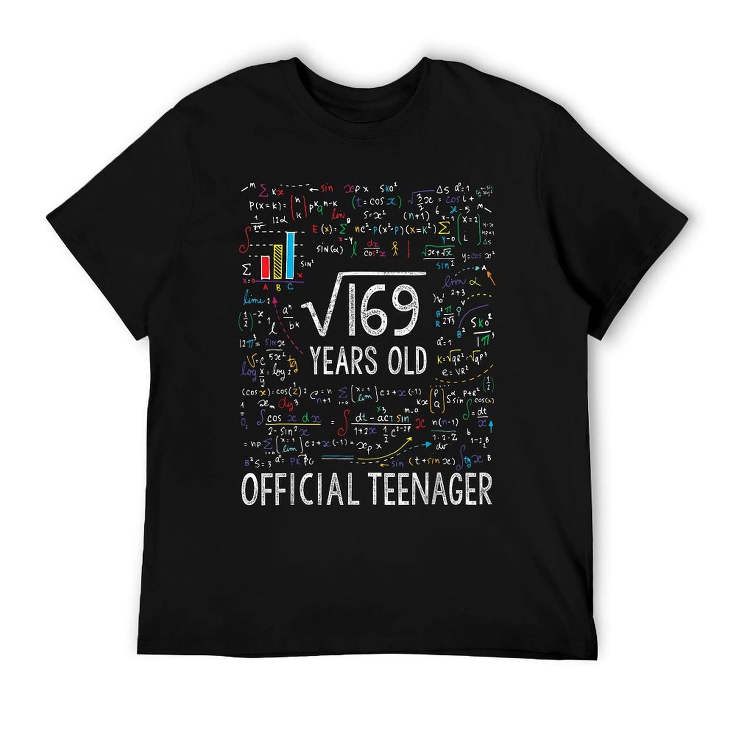 Square Root Of 169 13 Years Old Officialnager Birthday T-Shirt