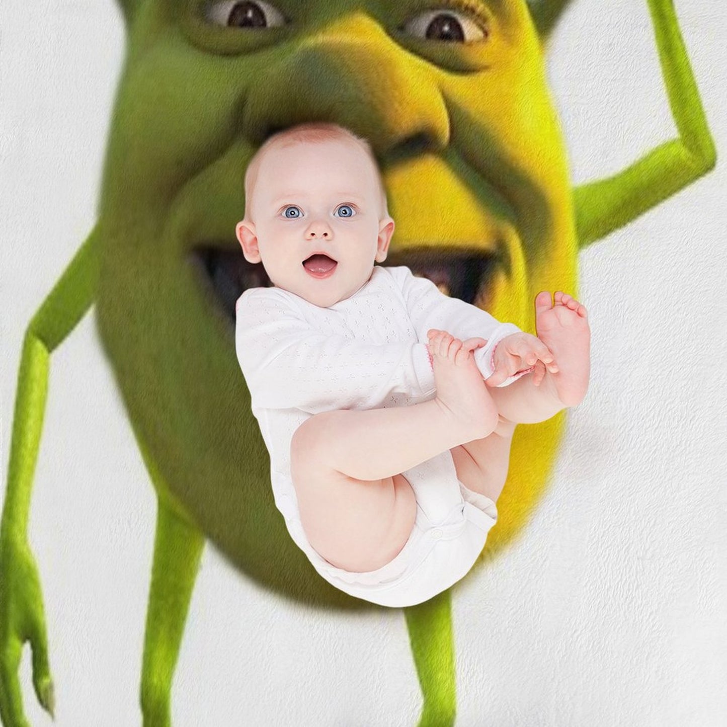 Shrek Wazowski Throw Blanket