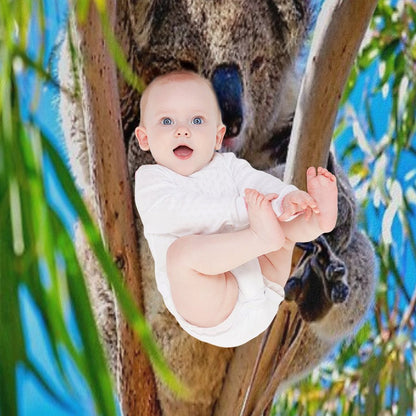 Lovely Australian Koala Bear Throw Blanket