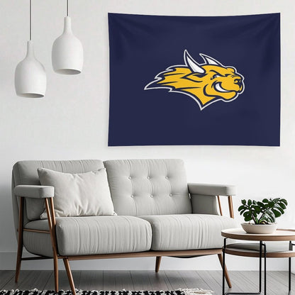Webster University Tapestry