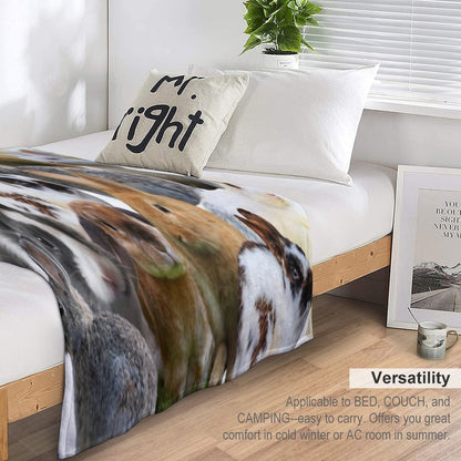 Cute Rabbitsbunnies Throw Blanket